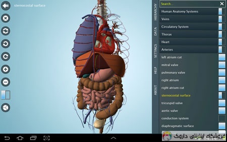 آناتومی بدن زن و مرد Atlas Of The Human Body آناتومی بدن زن و مرد Atlas Of The Human Body
