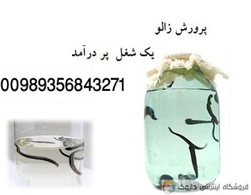 پرورش زالو Breeding leeches